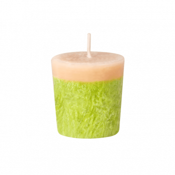 Candle Factory Duftkerze Votivkerze Pistazie